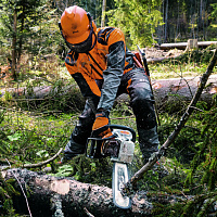 STIHL MS 462 Бензопила STIHL, шина SL 50см, цепь 36 RS 11422000145, Бензопилы профессиональные Штиль